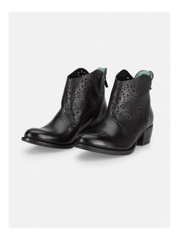 Felmini Stiefelette in Schwarz