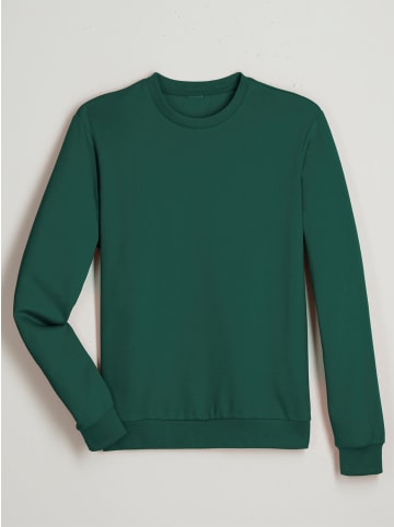Sieh an! Sweatshirt in moos