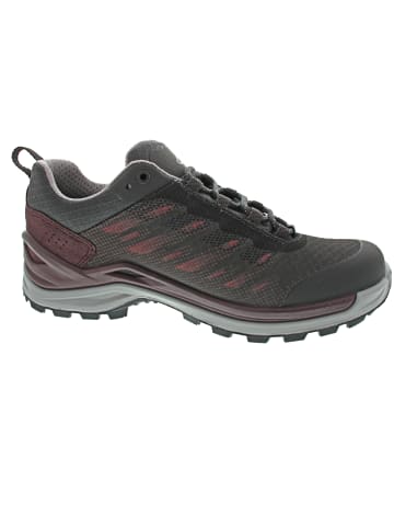 LOWA Ferrox GTX Lo Ws Wanderschuh Grau
