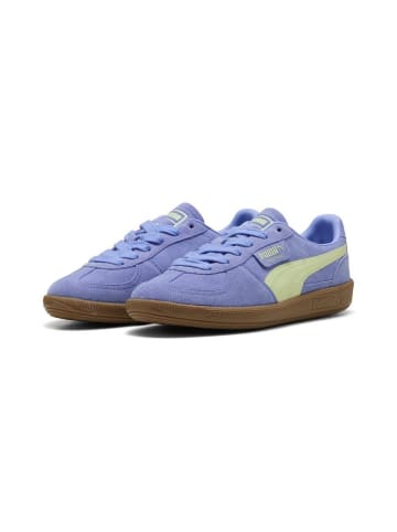Puma Sneaker "Palermo" in Lila