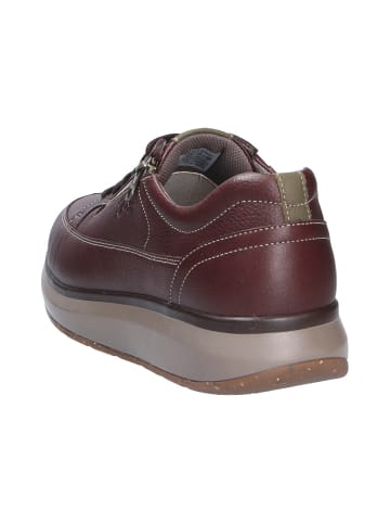 Joya Schnürschuh BRUNO DARK BROWN in braun