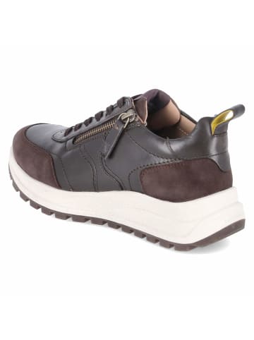 SALAMANDER Low Sneaker in braun