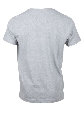 Gant T-Shirt in Grau