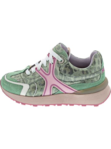 Mexx Sneaker low Grün