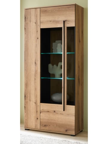 Furn.Design Vitrine Eiche Evoke, großer Vitrinenschrank 90 + 200 cm, 10 Fächer