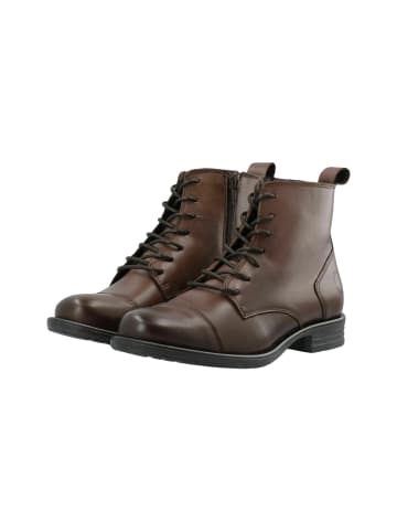 Cashott Stiefeletten CASEMMA in Dark Brown