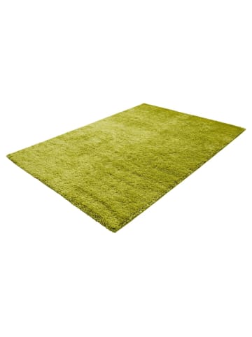 Arte Espina Wohnzimmer Teppich – Hochflorteppich Swing 8100 in hellgrün - rechteckig