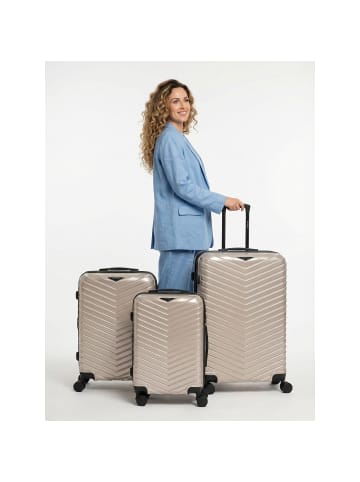 Redolz Essentials 18 4 Rollen Kofferset 3-teilig mit Dehnfalte in metallic-greige shiny