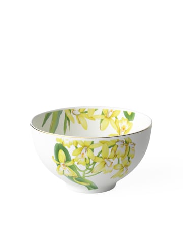 Villeroy & Boch Bol Amazonia in bunt