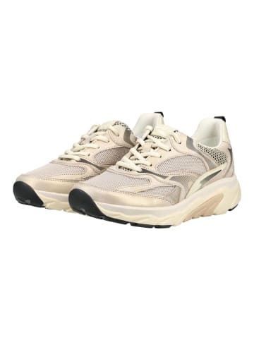 Gabor Sneaker Puder