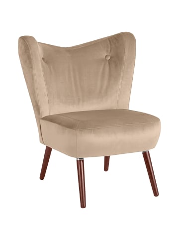 58 aufm Kessel SESSEL Kathy Bezug Samtvelours Buche nussbaum dunkel / sand