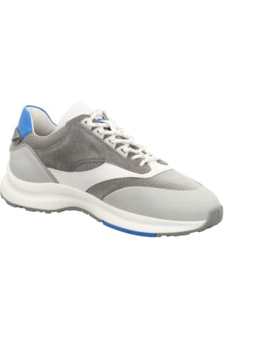 LLOYD Sneaker in grau