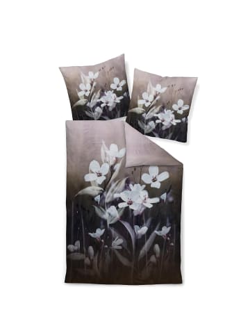 Janine Bettwäsche 42179-09 in multicolor