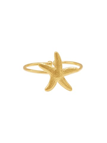 Steel_Art OneSize Ring Stern Jasna goldfarben in goldfarben