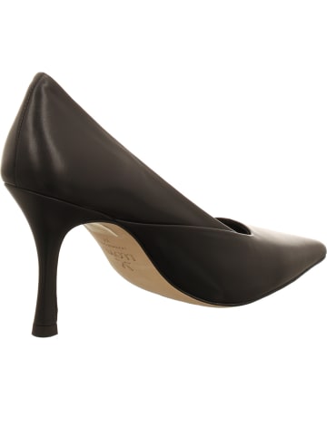 LLOYD Pumps in schwarz