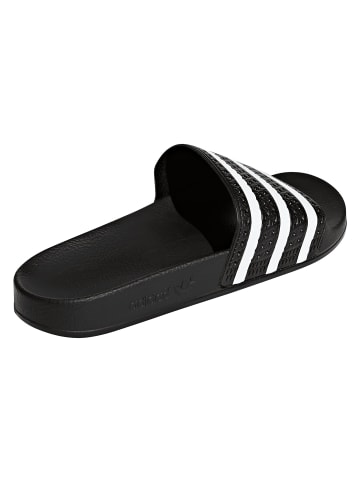 adidas adidas Sandalen in core black/white/core black