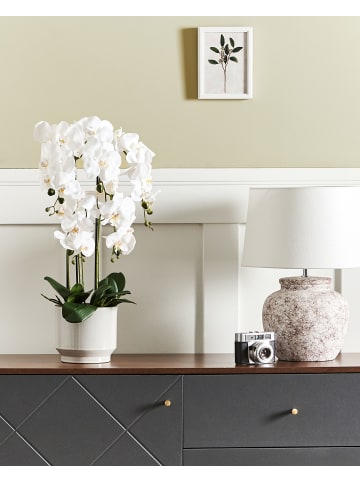 Beliani Kunstpflanze ORCHID in Grün/Weiß - (W) 35 x (H) 65 x (L) 35 cm