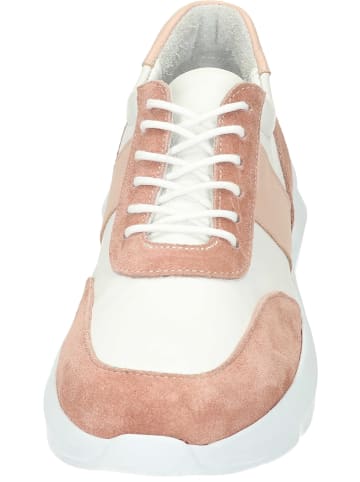 Piazza Sneakers Low in nude