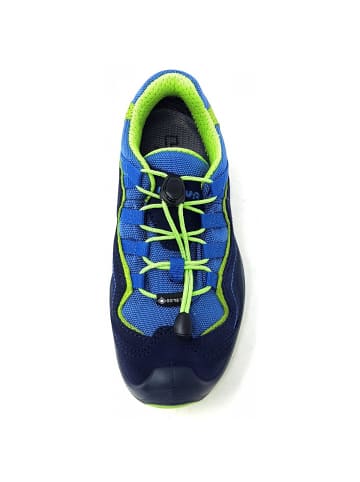 LOWA Wanderschuh Robin EVO GTX Lo in Blau