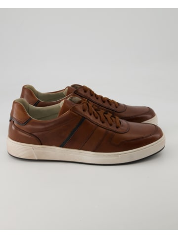 Pius Gabor Sneaker in Braun