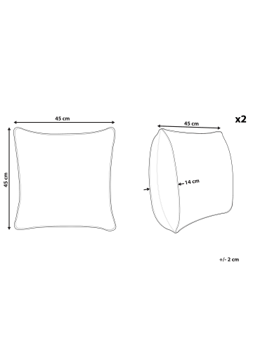 Beliani 2er-Set Dekokissen CALANTHE in Beige/Schwarz