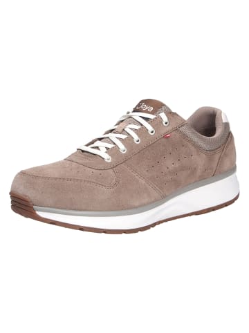 Joya Schnürschuh DYNAMO CLASSIC M LIGHT BROWN in braun