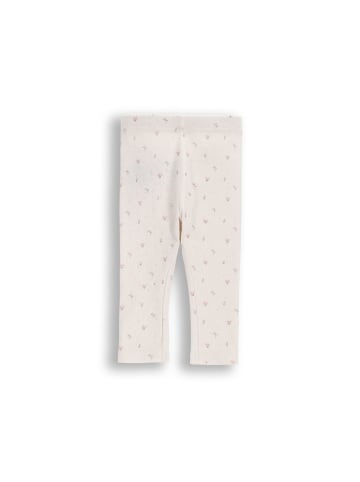 Coccodrillo Durchbrochene Leggings mit langem Bein in ecru