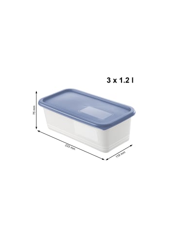 Rotho Set Gefrierdosen 3 x 1.2l mit beschriftbarem Deckel in Horizontblau