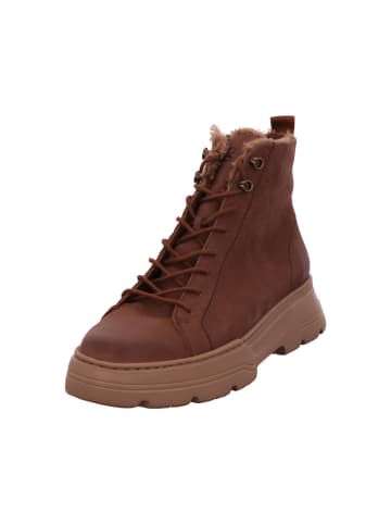 Paul Green Stiefel in braun