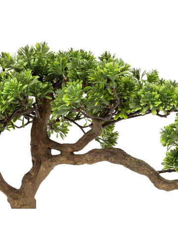 Atmosphera Créateur d'intérieur Kunst-Bonsai in grün