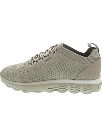 Geox Spherica Sneaker low Beige