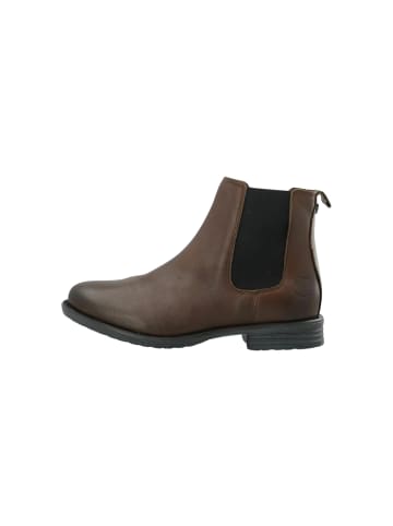 Cashott Stiefeletten CASEMMA in Brown