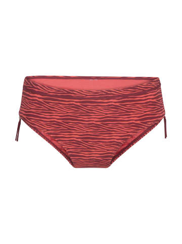 Linga Dore Short in Zebra print