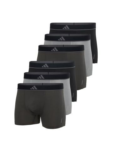 adidas Boxershort 6er Pack in Schwarz/Grau