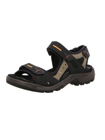 Ecco Outdoorschuh in grau