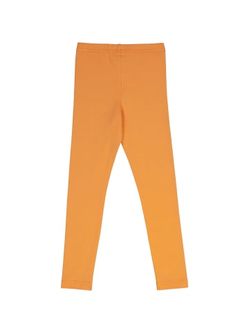 Fred´s World by GREEN COTTON Leggings in Tangerine