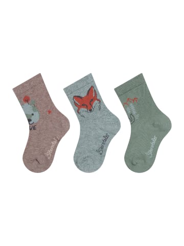 Sterntaler Socken 3er-Pack Save in braun mel.
