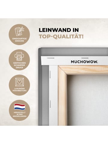 MuchoWow Leinwand bilder Schottisches Hochlandrind (BxH)