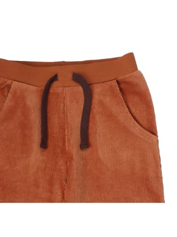 Walkiddy Jogginghose Mocha Bisque - Cord
