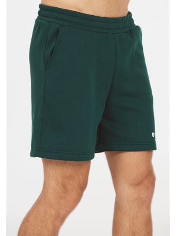 Virtus Sweatshorts Dereck in 3200 Sea Moss