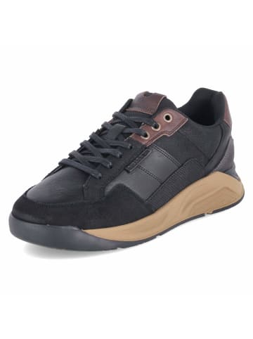Bullboxer Low Sneaker in schwarz
