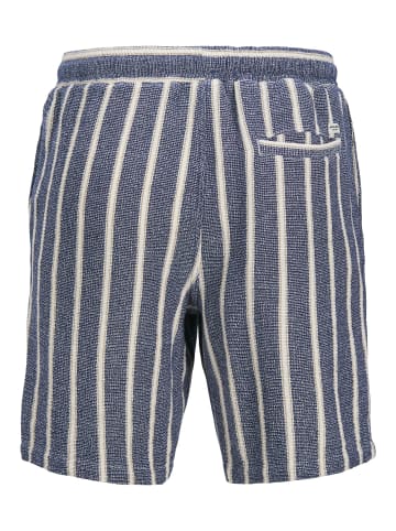JACK & JONES PLUS Relaxed Fit Shorts in Ocean Cavern