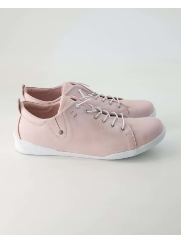 Andrea Conti SHOES Klassische Schnürschuhe in Rosa