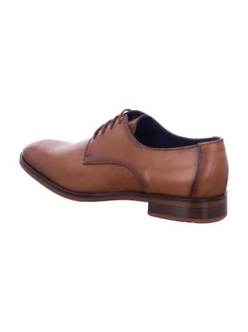 LLOYD Business Schuhe für Herren in uni