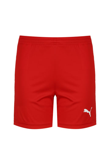 Puma Trainingsshorts TeamGOAL 23 Knit in rot