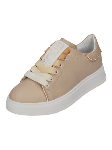 MJUS Sneaker Low P56126 in braun