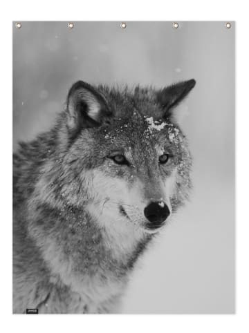 Juniqe Duschvorhang "The Wolf" in Grau