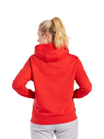 erima Essential Team Kapuzensweat in rot/slate grey