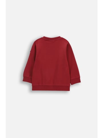 Coccodrillo Langarmshirt in dunkelrot