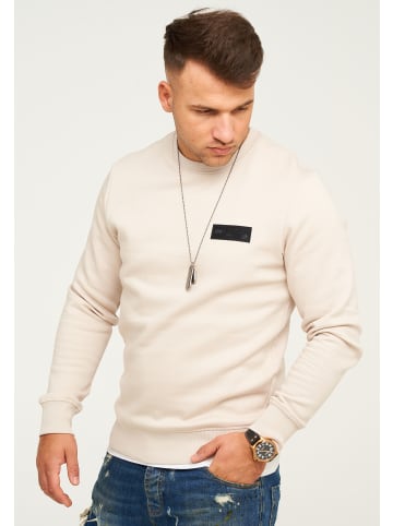 Jack & Jones Sweatshirt - POPS SWEAT CREW NECK Pullover in Moonbeam